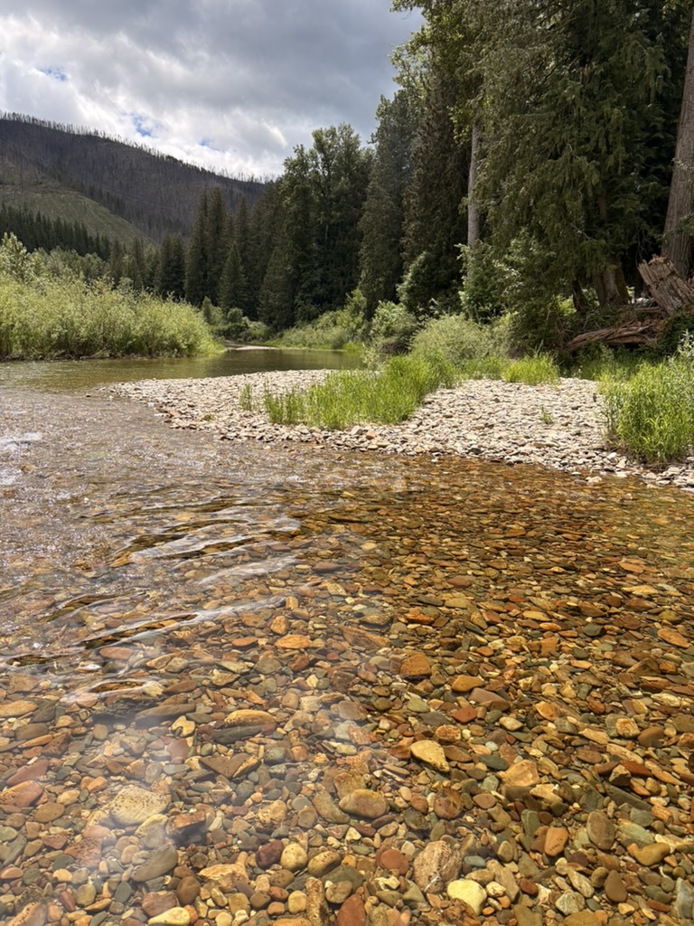 A clear Idaho river running through trees and mountains.